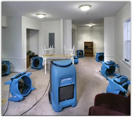 Water Extraction & Removal in Carbondale, CO