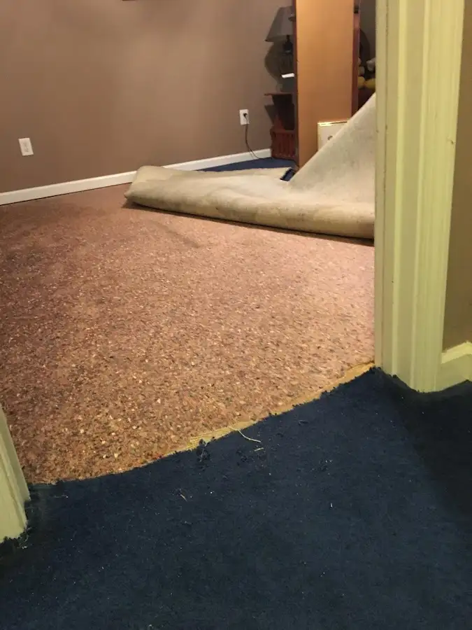 Carpet pad removal revealing water damage during Water Mitigation Services in Carbondale